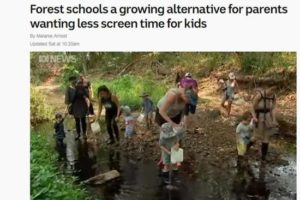 课上爬树玩水？这些家长送孩子到森林学校“边玩边学”缩略图