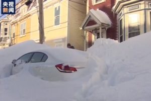 加拿大东部积雪严重 部分省市紧急状态仍未解除缩略图