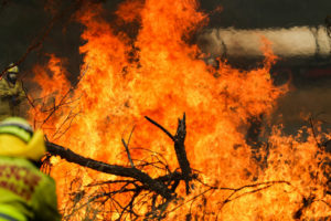 英媒：澳否认山火与气候有关 英研究报告“打脸”缩略图