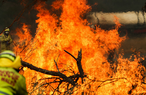 英媒：澳否认山火与气候有关 英研究报告“打脸”