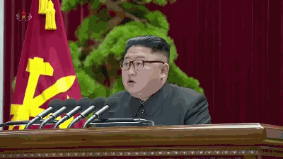 朝鲜高层"大换血" 外相人选暗示金正恩对美态度？