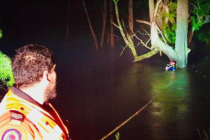 澳大利亚男子被洪水冲下河 抱树求生10小时后获救缩略图