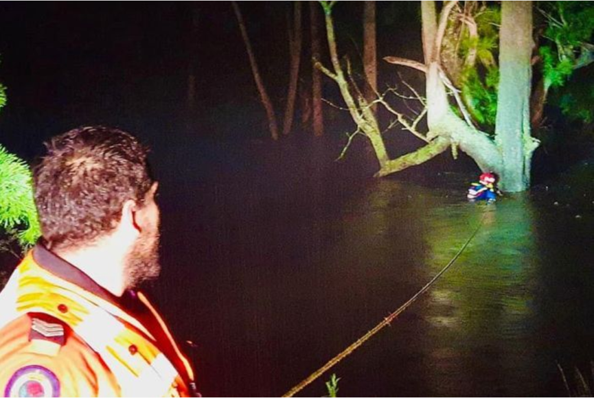 澳大利亚男子被洪水冲下河 抱树求生10小时后获救