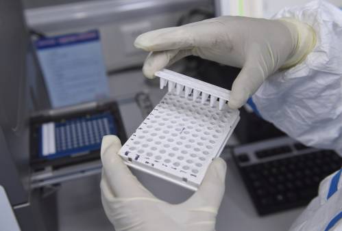 俄媒：科学家发现病毒致命弱点 有望促成疫苗研发