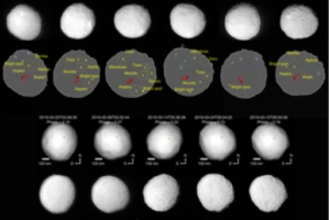 天文学家拍到史上最清晰的“高尔夫球小行星”缩略图
