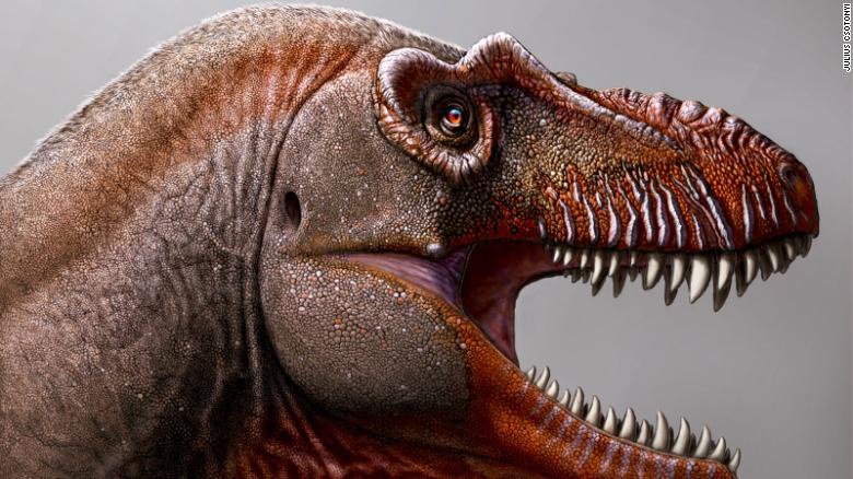 男子发现暴龙新物种化石 比霸王龙早出现250万年