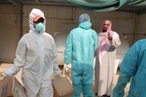 沙特报告：H5N8高致病性禽流感爆发缩略图