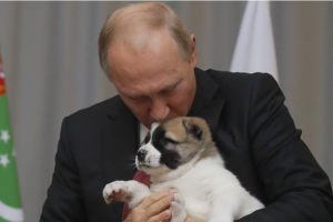 俄运动员要给总统”送狗” 普京很感兴趣：怎么喂它缩略图