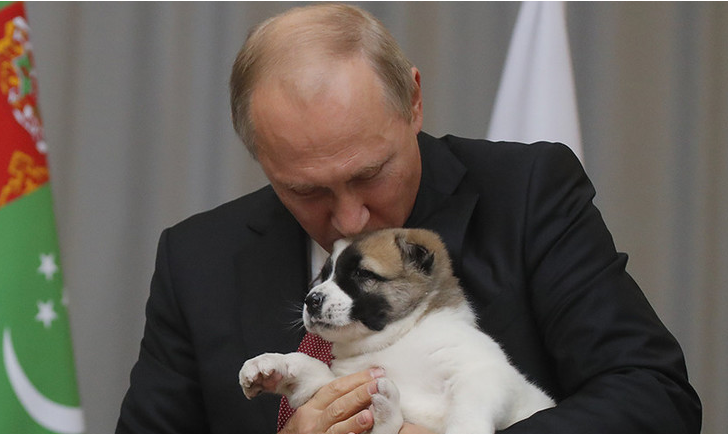 俄运动员要给总统"送狗" 普京很感兴趣：怎么喂它