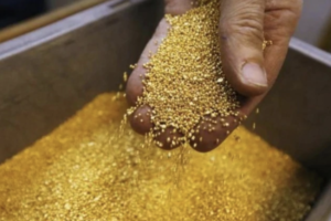 印度发现3千吨黄金？地质局忙辟谣缩略图