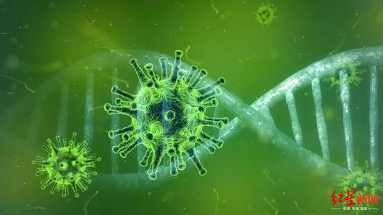 巴西发现神秘病毒 科学家称其90%基因前所未见