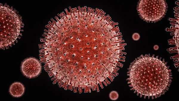 专家称新冠病毒正在变异，但还有个事实不容忽视
