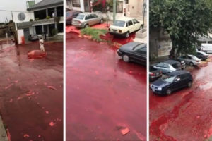 阿根廷布宜诺斯艾利斯屠宰场存放动物血液的储存槽爆炸 街道上形成一片血海缩略图