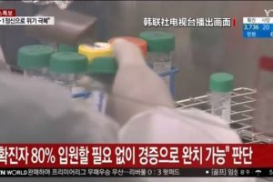 韩国调整治疗体系 集中力量治疗重症患者缩略图