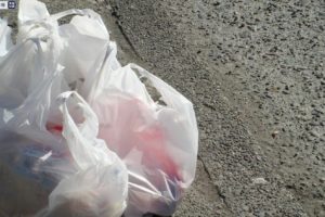 美国纽约州正式执行“塑料袋禁令”缩略图