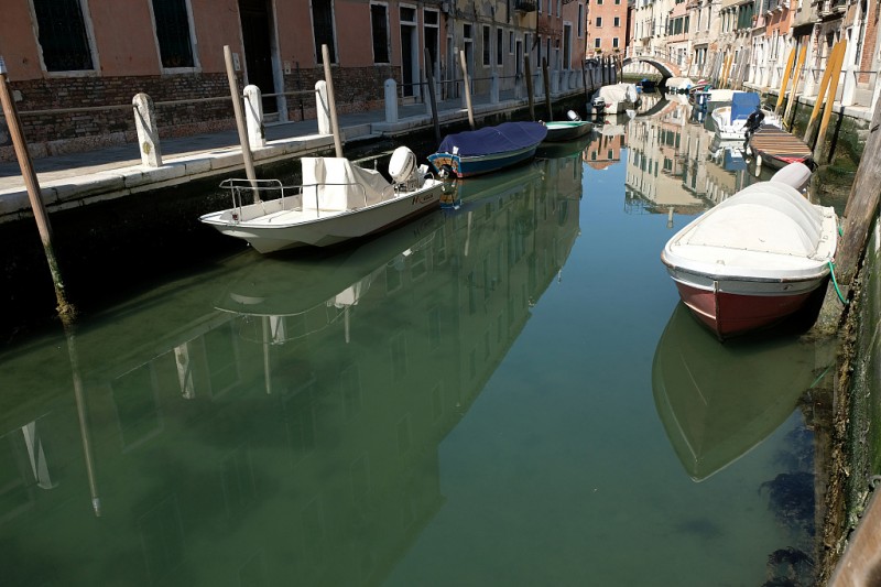 意大利因疫情封锁全国，威尼斯运河一夜变干净