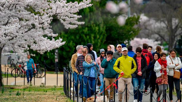 美华盛顿对潮汐湖樱花节采取限制措施