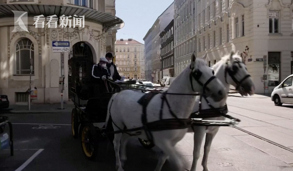 疫情期间没游客 维也纳马车免费为老人送餐饮