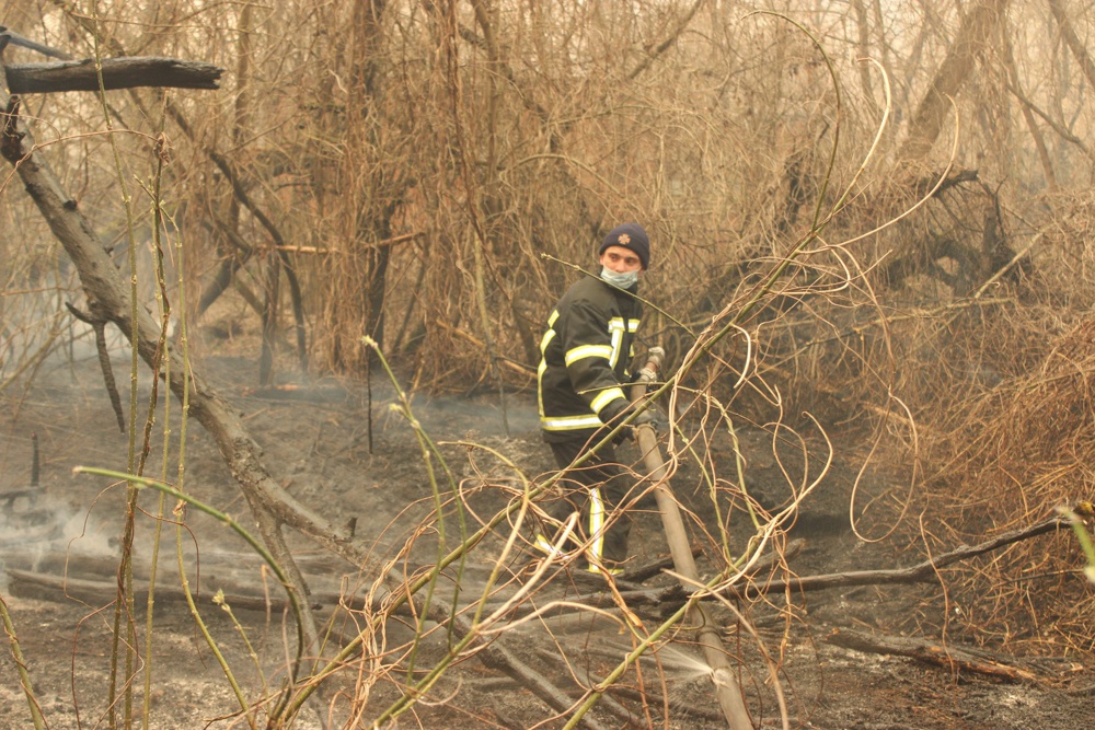 乌克兰北部发生森林火灾，火点接近切尔诺贝利