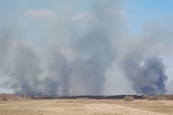 波兰国家公园发生火灾 上千公顷森林草地被焚毁