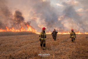 波兰别布扎国家公园火灾持续 过火面积近4000公顷缩略图