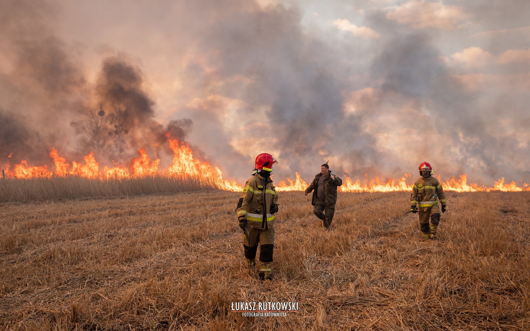 波兰别布扎国家公园火灾持续 过火面积近4000公顷