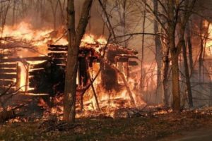 乌克兰切尔诺贝利地区森林灭火作业仍在继续缩略图
