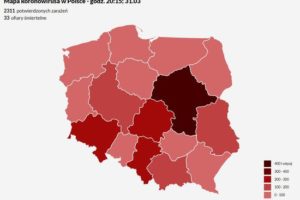波兰新增新冠肺炎确诊病例256例 累计确诊2311例缩略图