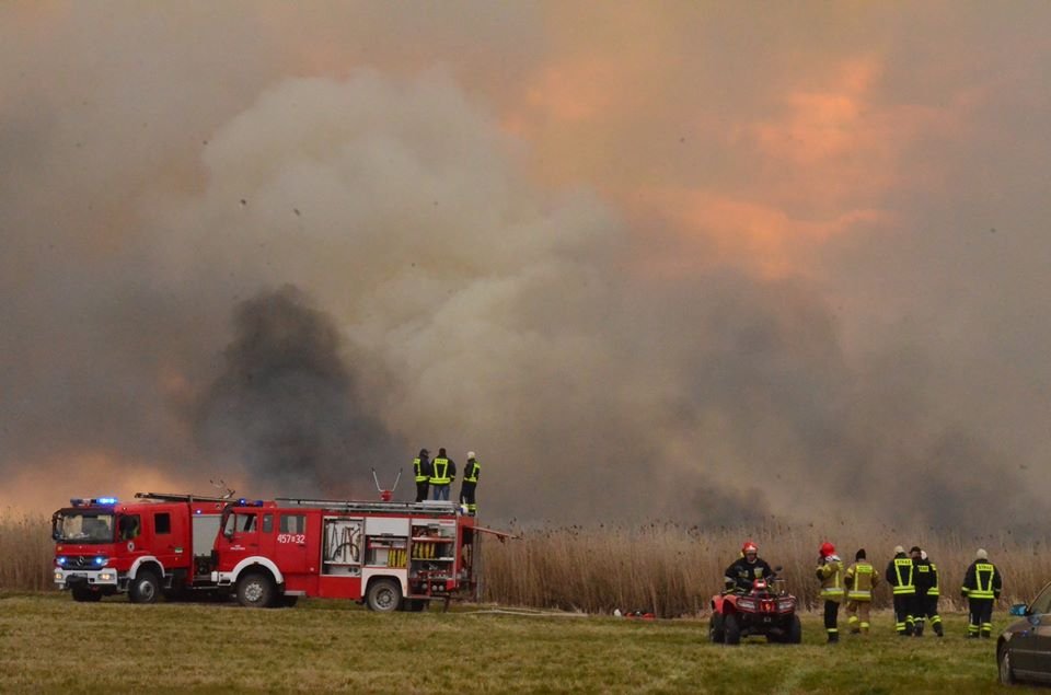 波兰国家公园火势蔓延情况已得到控制