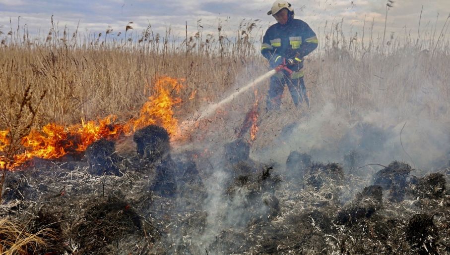 波兰国家公园发生火灾 上千公顷森林草地被焚毁
