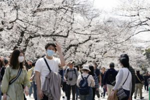 布口罩能否防病毒？日本专家：普通人用布的就可以缩略图
