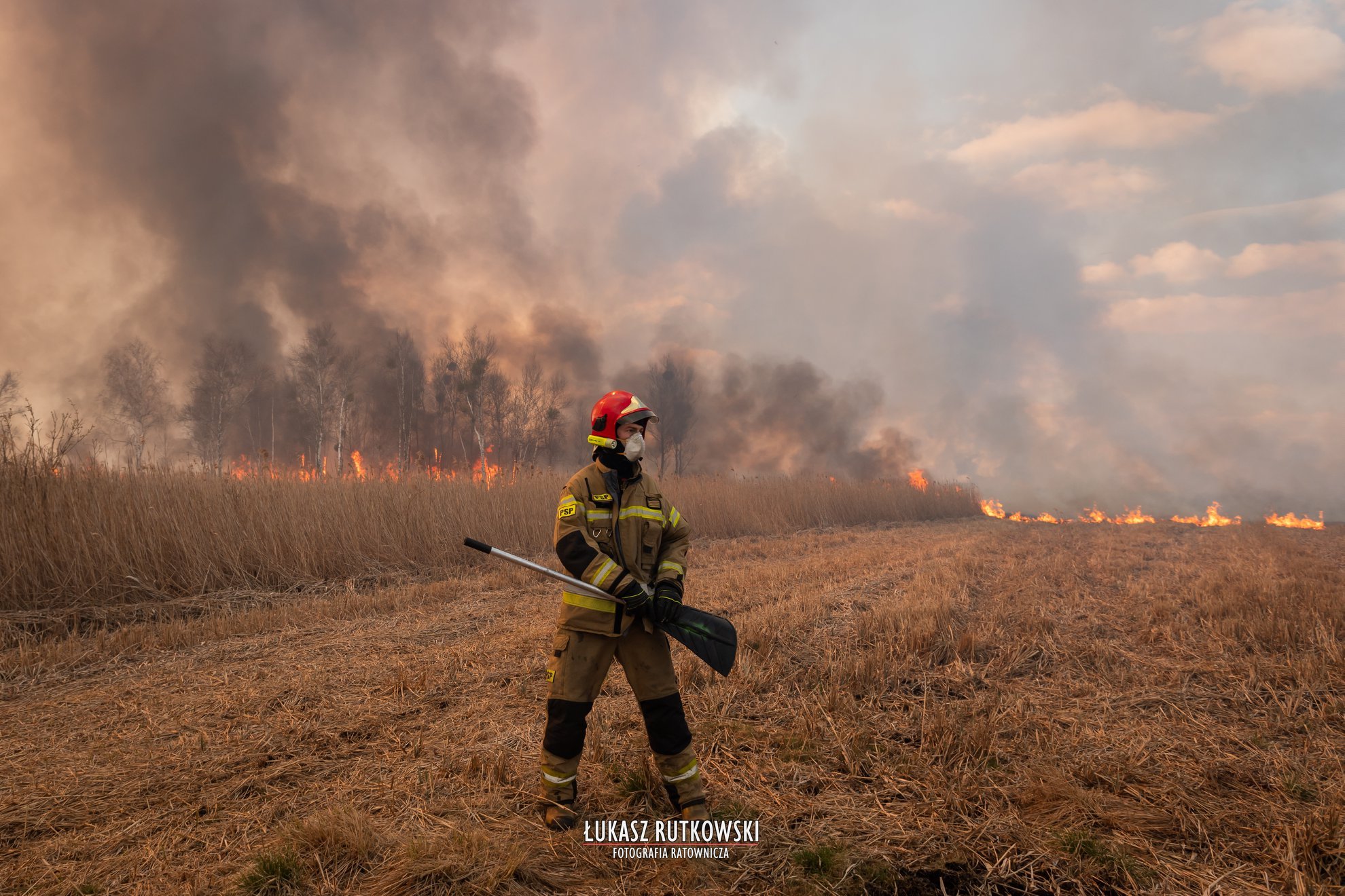 波兰别布扎国家公园火灾持续 过火面积近4000公顷