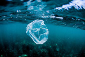 外媒：科学家研发出新型塑料 可在海洋中快速降解缩略图