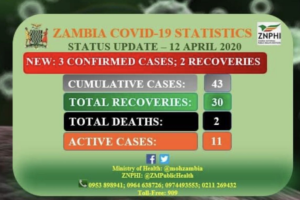 赞比亚新增3例新冠肺炎确诊病例 累计增至43例缩略图