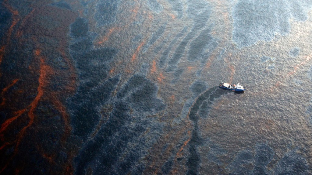 墨西哥湾漏油事件10周年：数千种鱼类体内仍有油污染