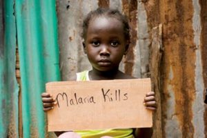 外媒：津巴布韦暴发疟疾疫情，卫生系统雪上加霜缩略图