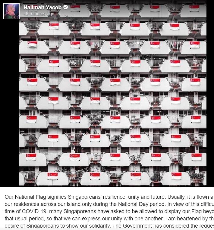 新加坡允许公众疫情期间悬挂国旗 为抗疫加油打气